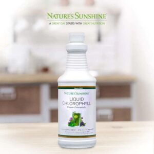Liquid Chlorophyll with Natural Spearmint oil (476 ml)